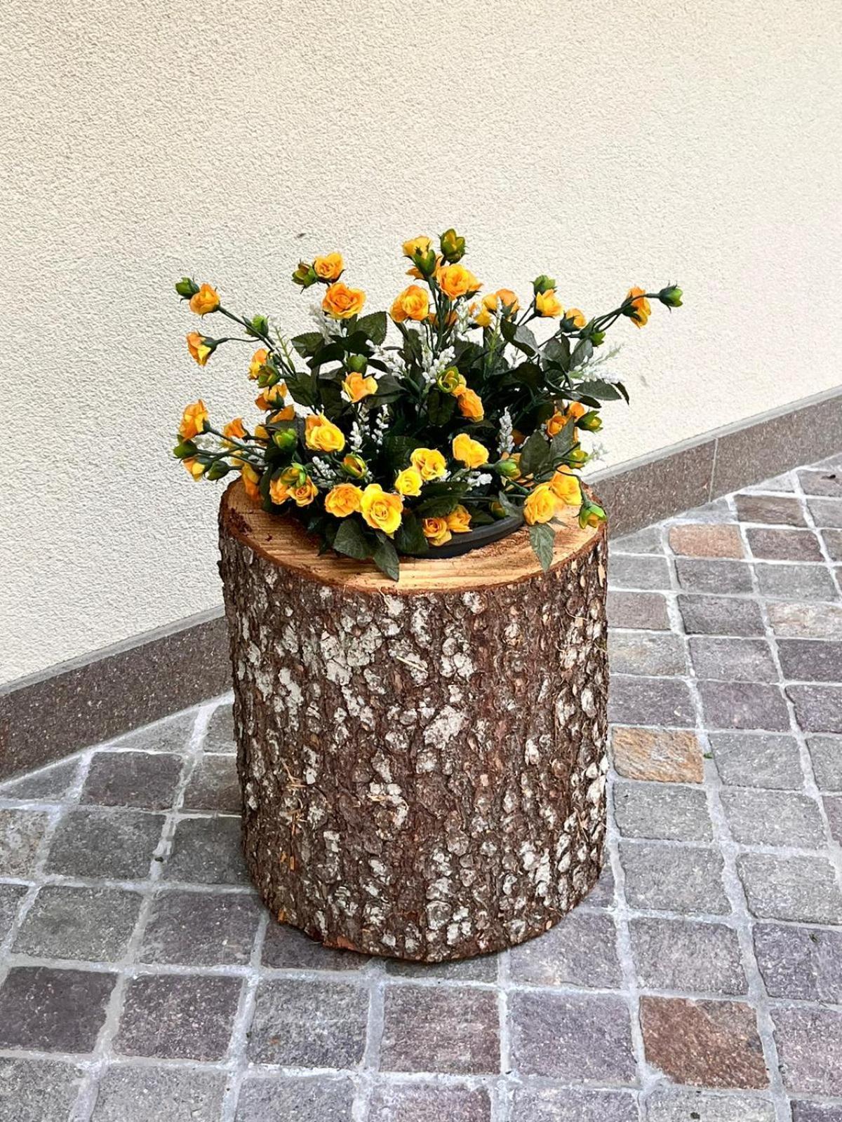 Ciasa Erica - Val Di Non Lägenhet Predaia Exteriör bild