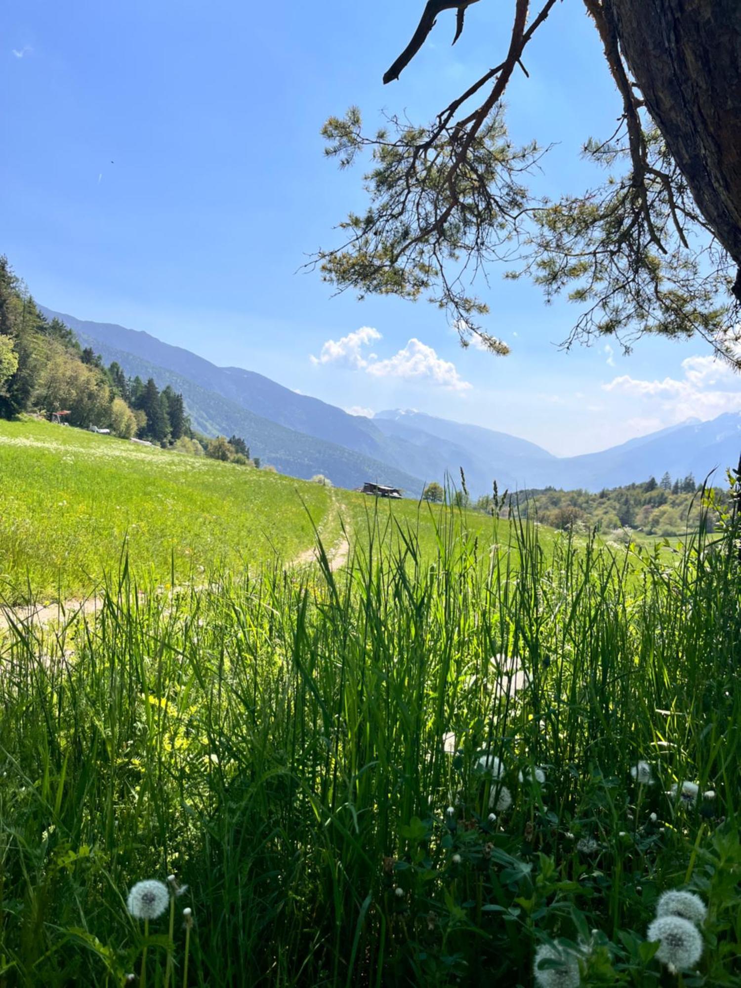 Ciasa Erica - Val Di Non Lägenhet Predaia Exteriör bild